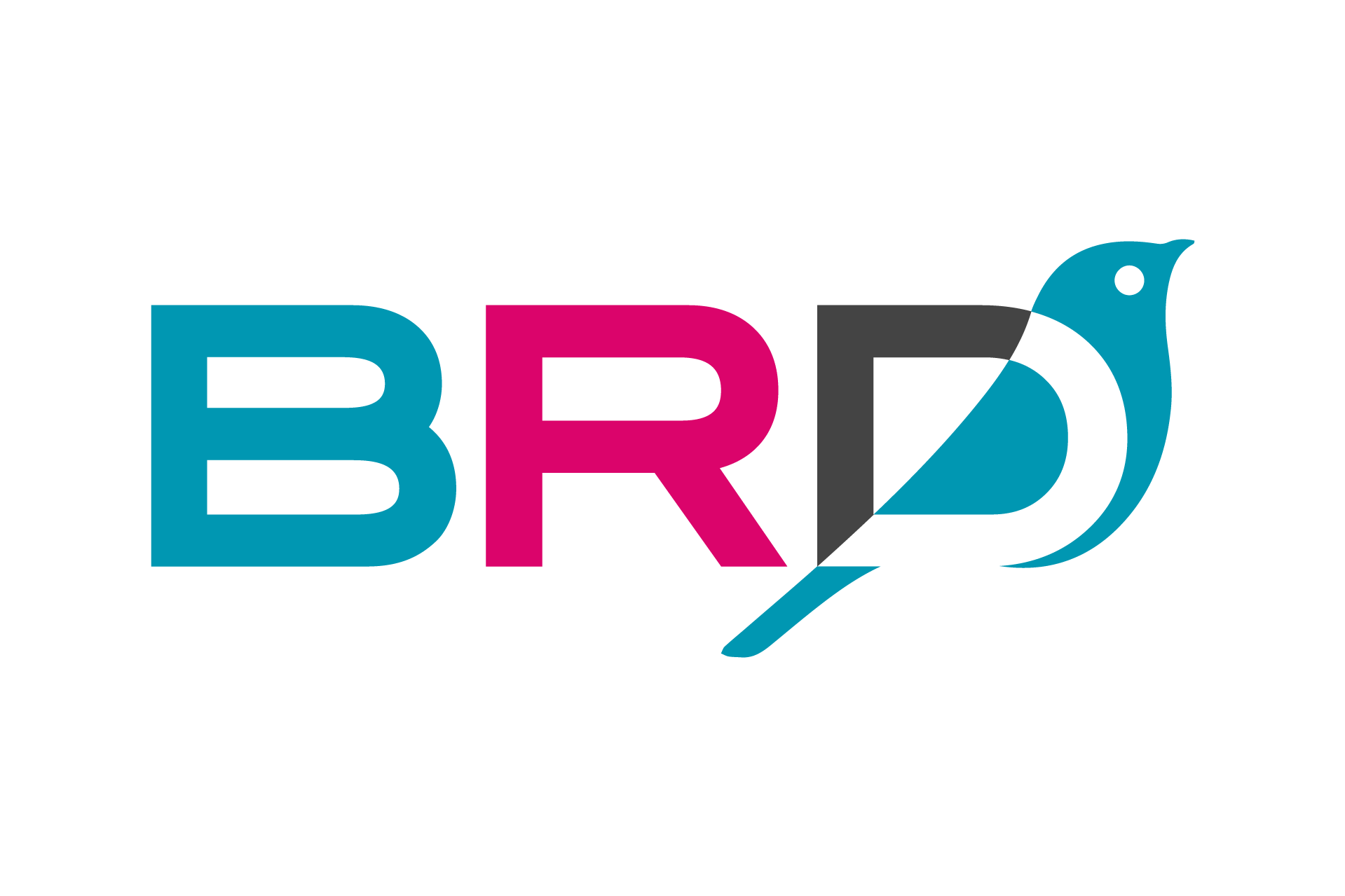 BRD srl